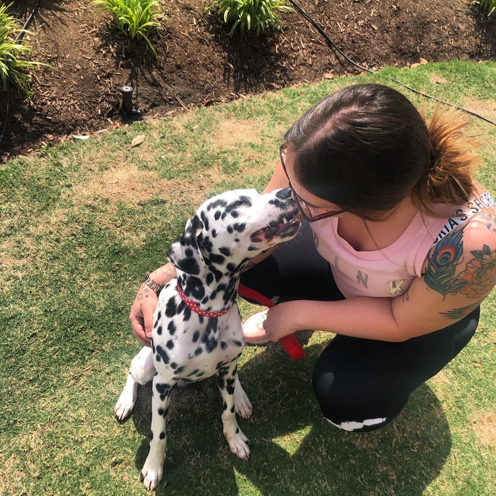 Meet your Posher, Cierra